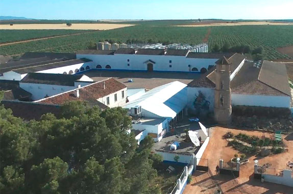 Construcción Bodega Casa La Viña en Valdepeñas